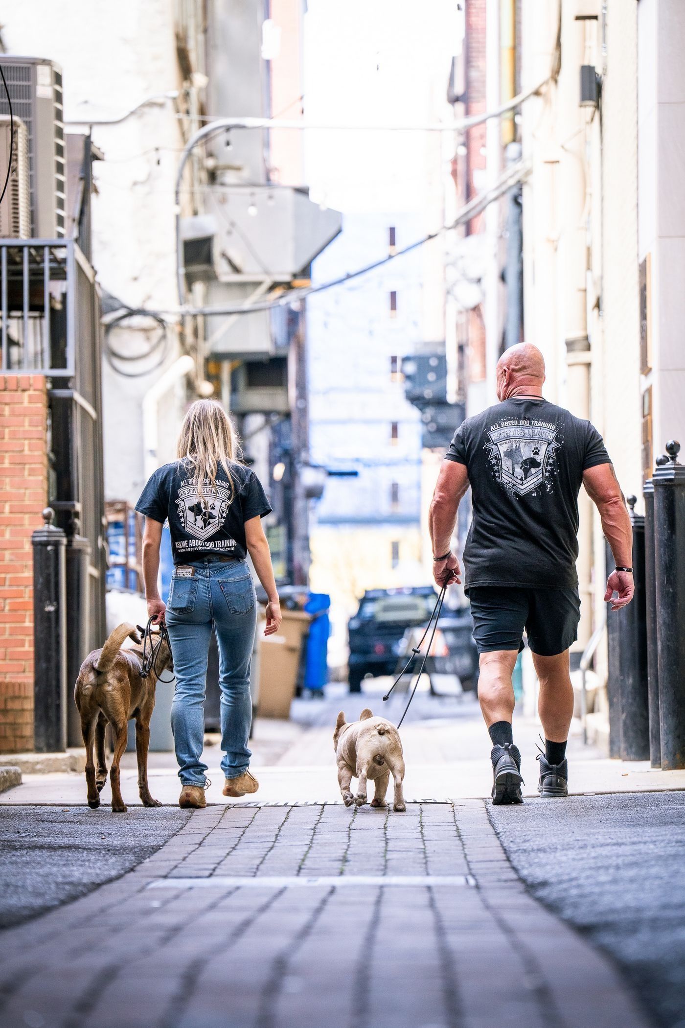 Two people walking dogs down a narrow cobblestone alley between tall buildings