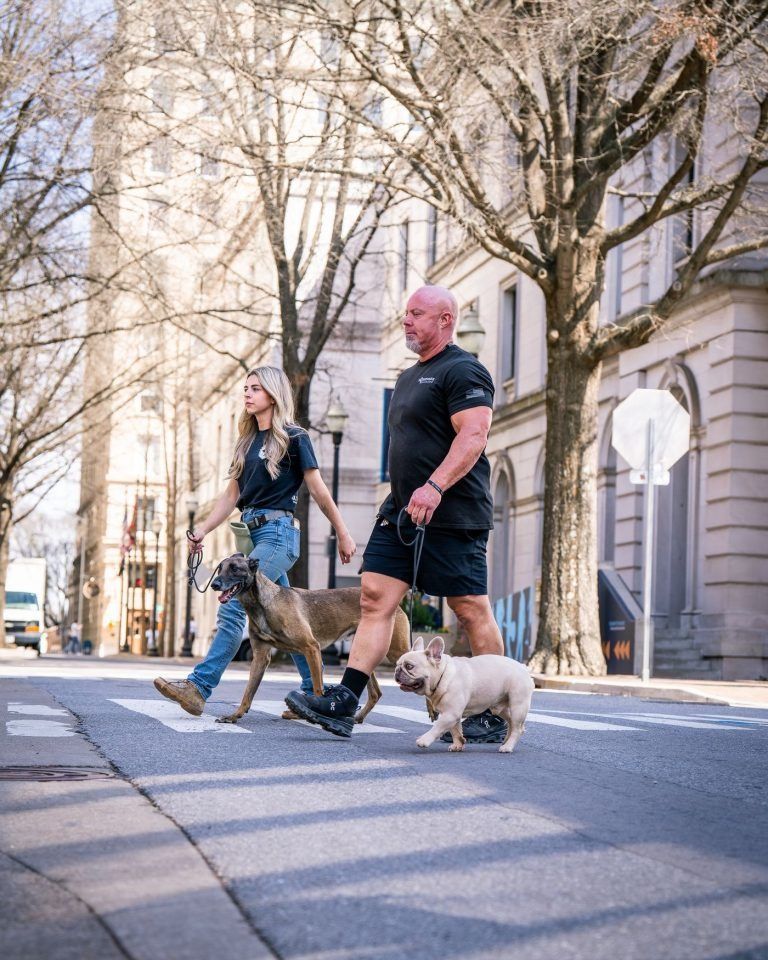 Two people walking dogs across a city street lined with leafless trees and tall buildings.