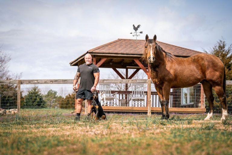 Dog trainer with his dog at heel while a brown horse stands by a gazebo, Knoxville dog training