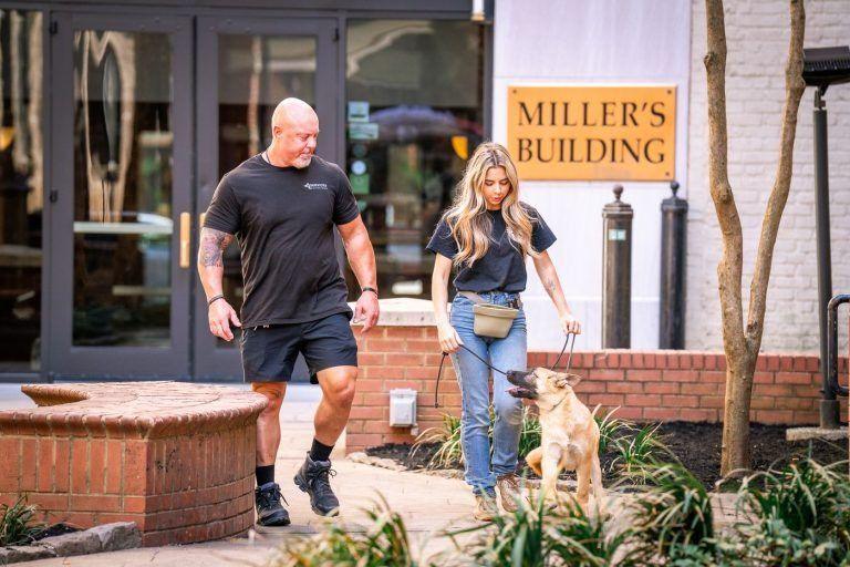 Two trainers walking a golden-colored dog past the Miller's Building entrance in downtown Knoxville