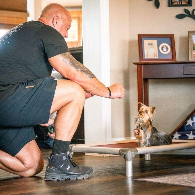 Trainer kneeling indoors to reward a Yorkshire terrier on a raised cot bed, in-home dog training in Knoxville