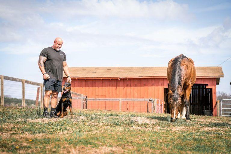 Trainer standing with a black-and-tan dog near a horse and red barn, real-world dog training around Knoxville