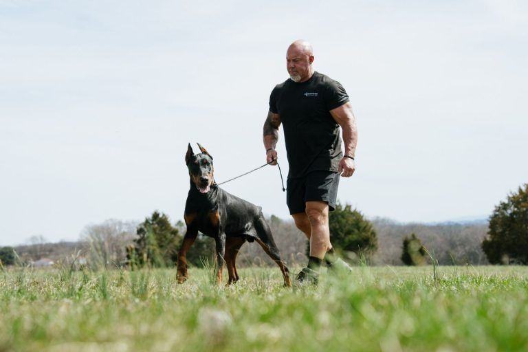 Obedience training in an open field
