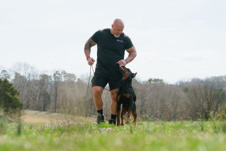 Dog walking at heel beside its handler
