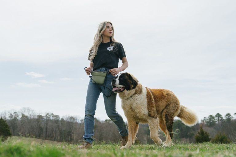 Large breed dog training in Knoxville, TN