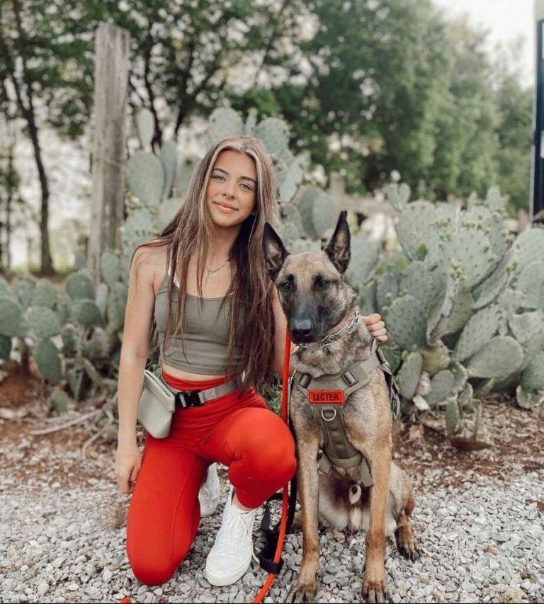 Belgian Malinois training in Knoxville, TN